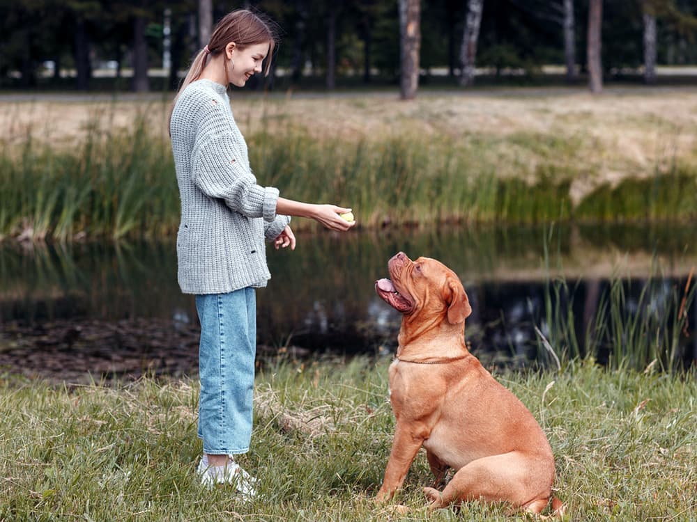 woman teaching dog not to jump