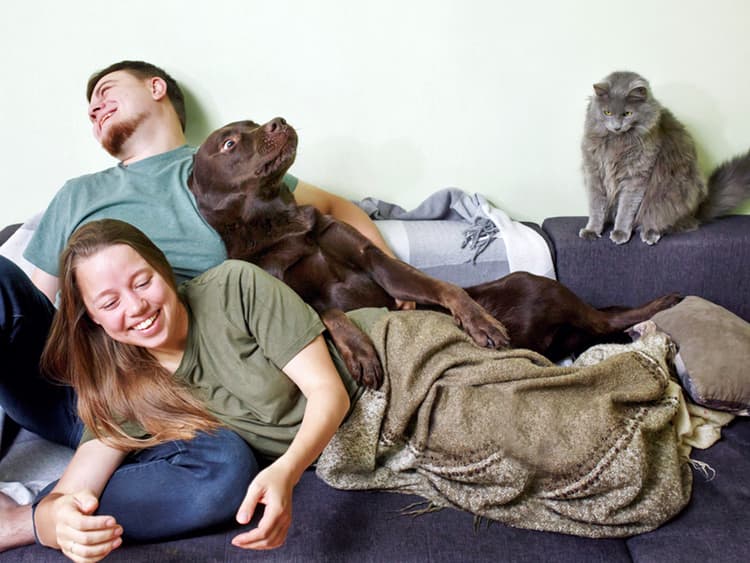 So, You and Your Partner Want to Live Together—But Your Pets Don’t