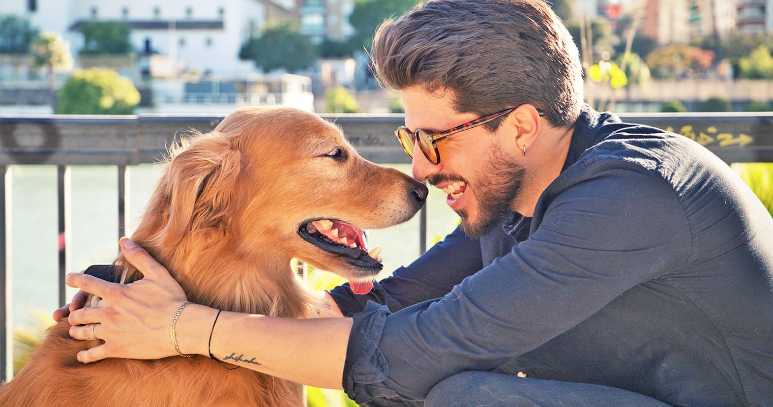 10 Golden Retriever Mixes Who Make the Best Pets