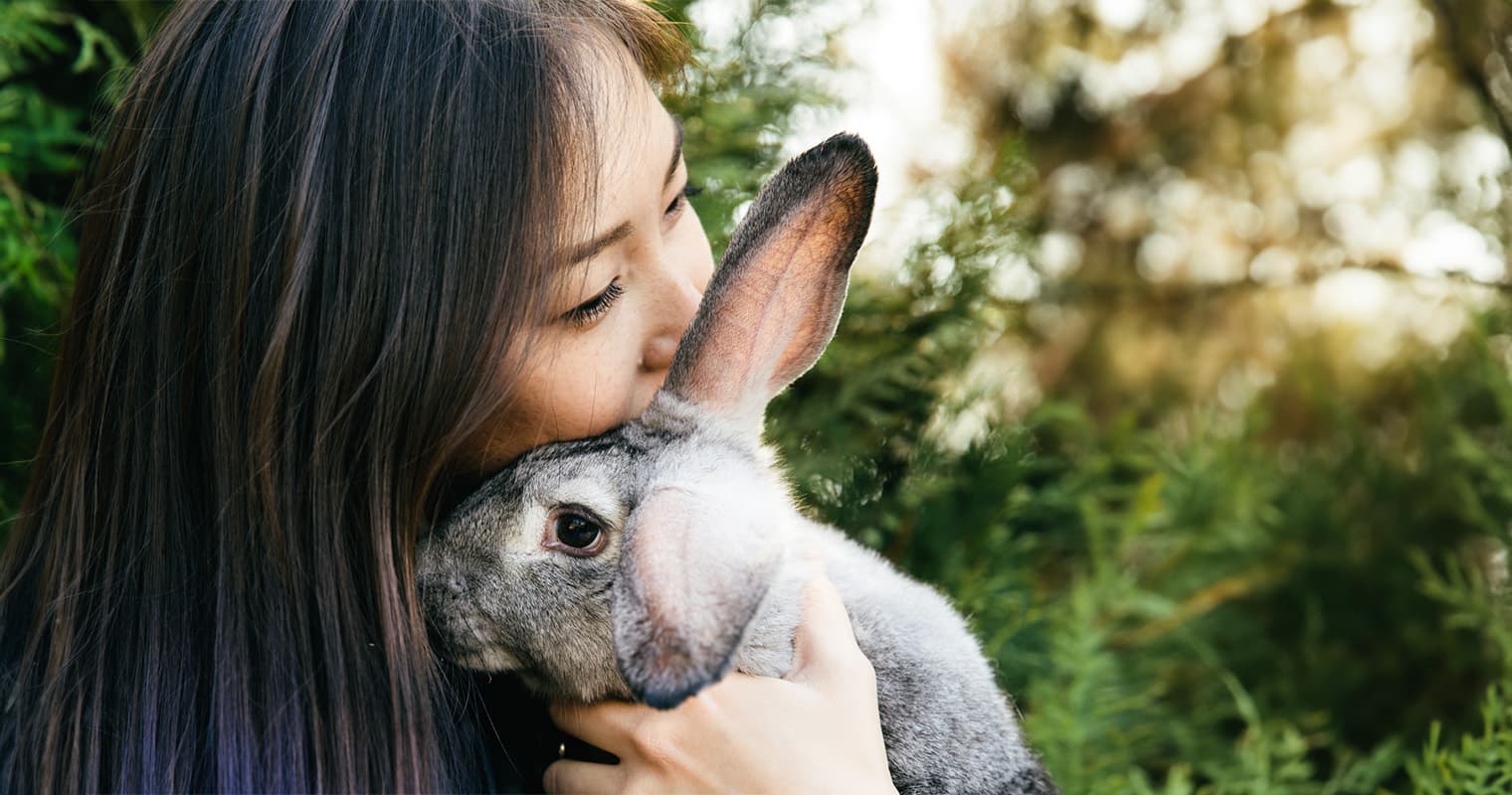 The Truth About Bunnies: They’re More Work Than You Realize