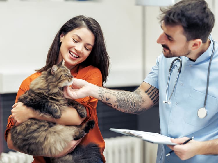 6 Ways You Can Get Help Paying for a Pet Care Emergency