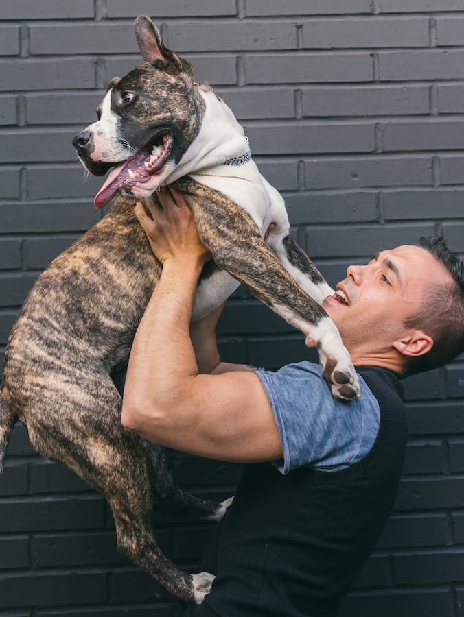 Does Putting Your Pet in “Air Jail” Actually Work?
