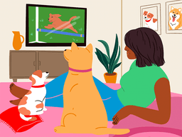 Dogs Love to Watch TV, New Study Says—But Should You Let Them?