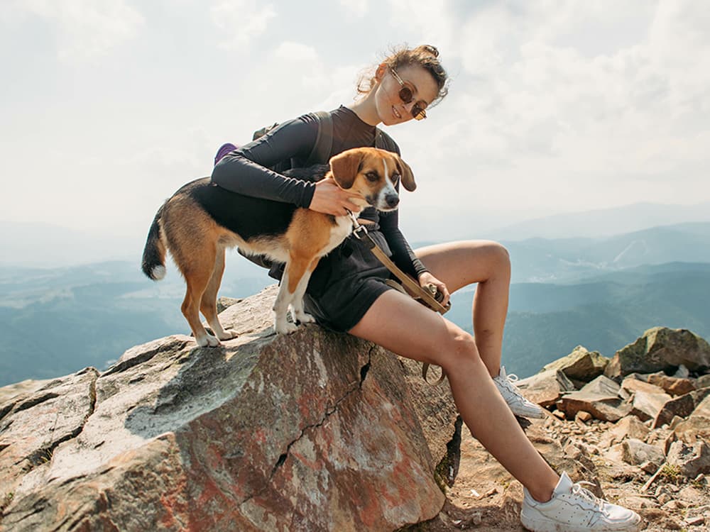 corgi outdoor with owner