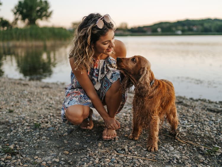 See California With Your Dog