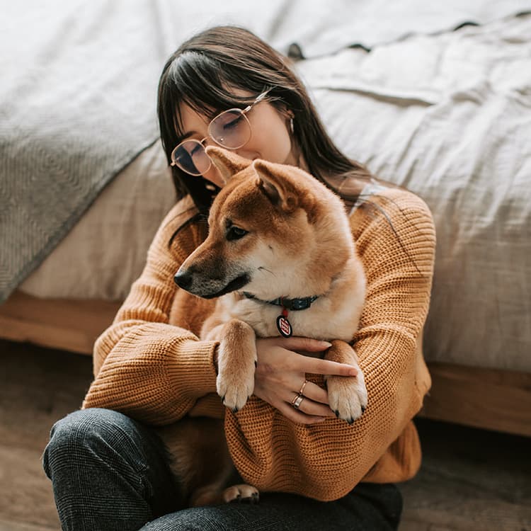 Separation Anxiety in Dogs