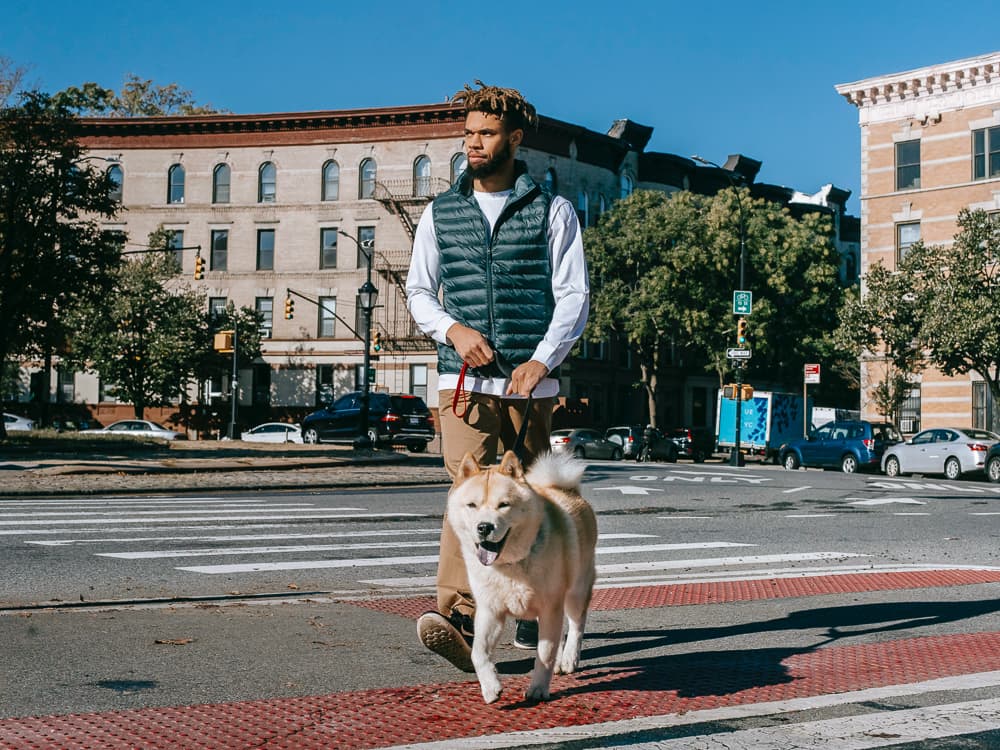 The B.A.T. Dog Training Method Is What’s Up