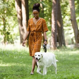 What to Do If You Find Worms in Your Dog’s Poop