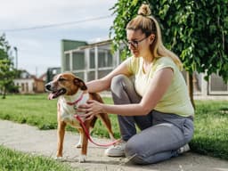 Foster Dog Shopping List: 10 Must-Haves for New Foster Parents
