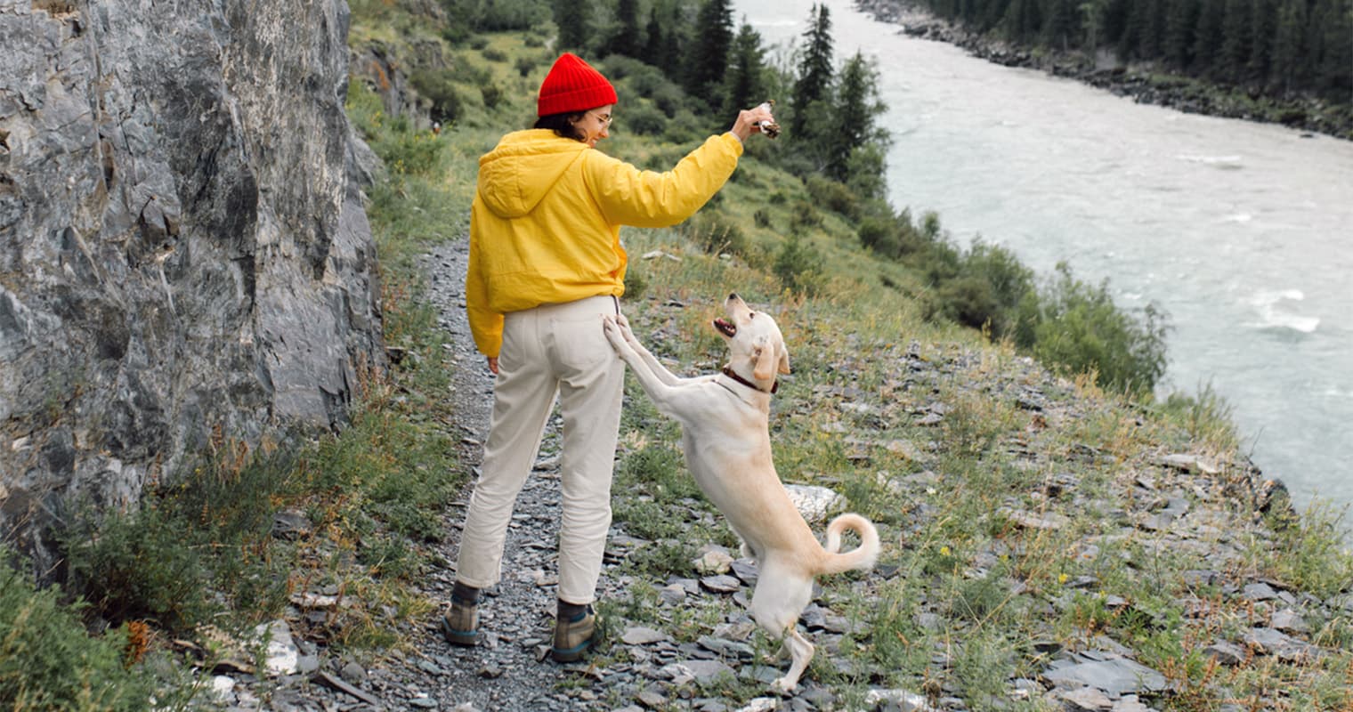 10 Dogs Breeds Who Love the Outdoors