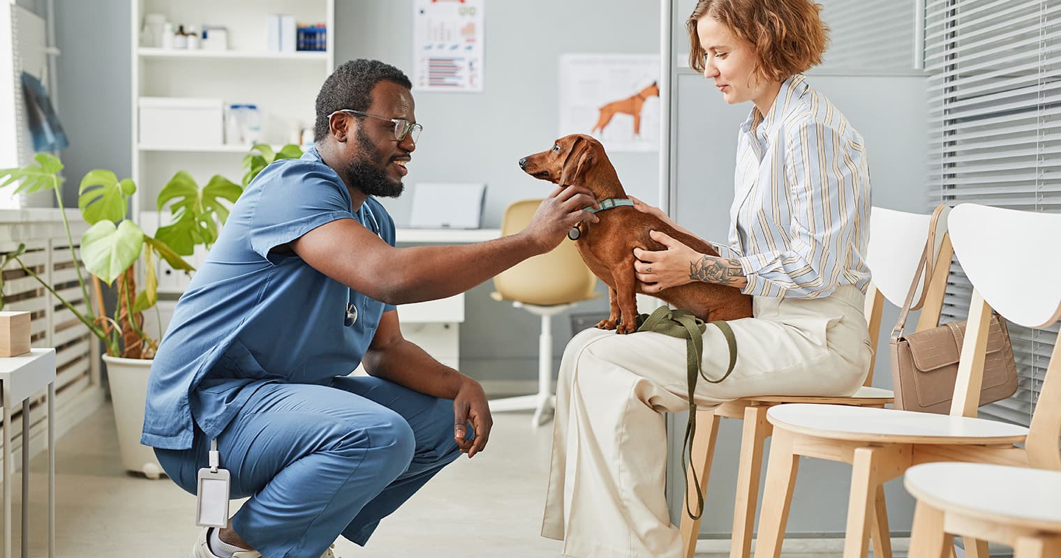 Puppy’s First Vet Visit: What To Expect