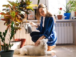 How to Be an Eco-Friendly Pet Parent