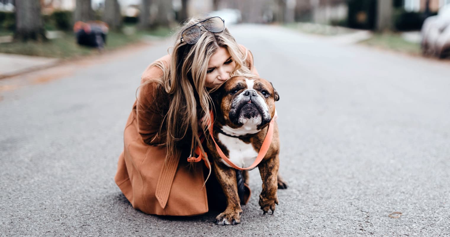 How Do I Find a Good Home for My English Bulldog?