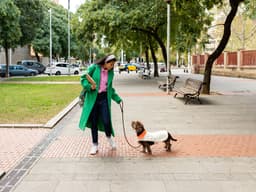 6 Reasons to Set Boundaries for Your Dog