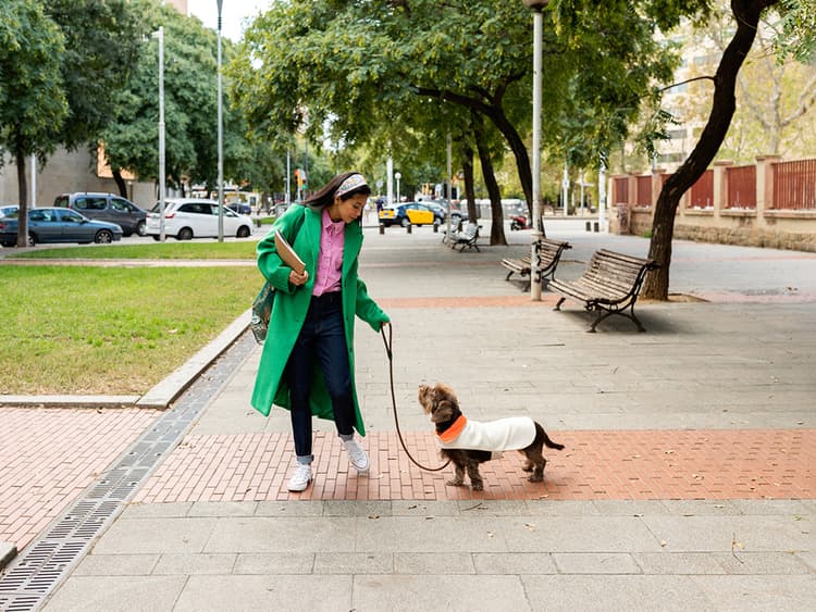 6 Reasons to Set Boundaries for Your Dog