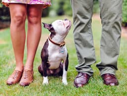 Help! I Think My Dog Is Trying to Sabotage My Relationship