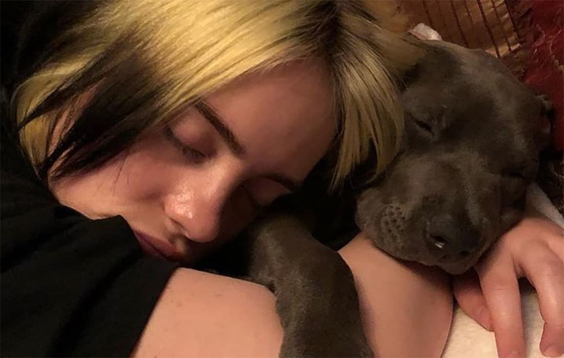 Celebrity dog names