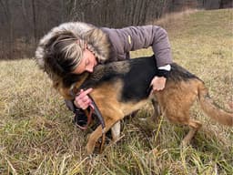 9 Tips To Find a Lost Dog—Fast
