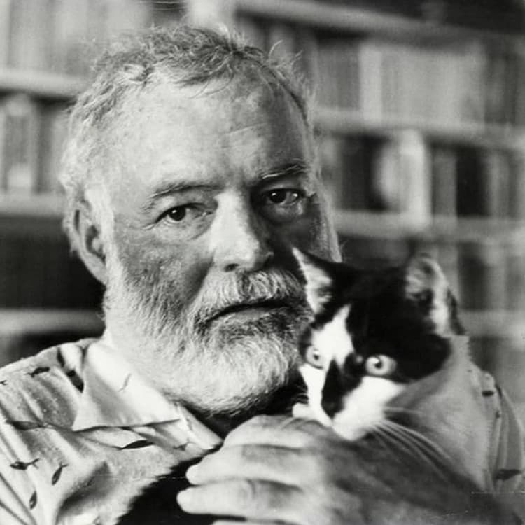 8 Classic Authors Who Were Obsessed With Their Cats