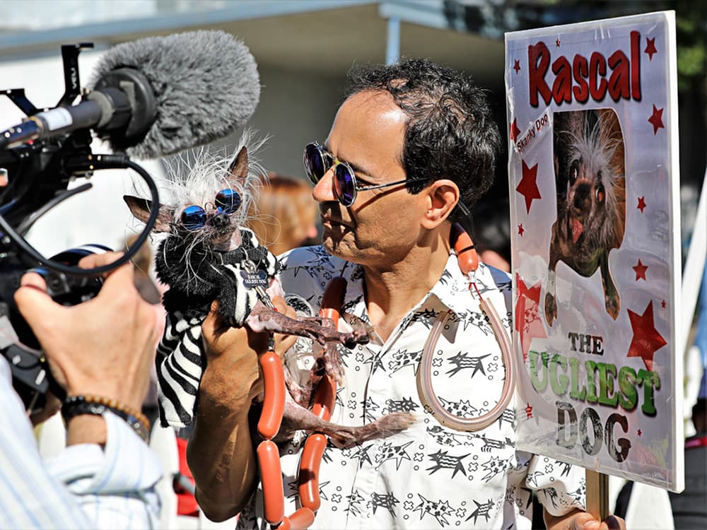 Alternate Names For “The World’s Ugliest Dog Contest”