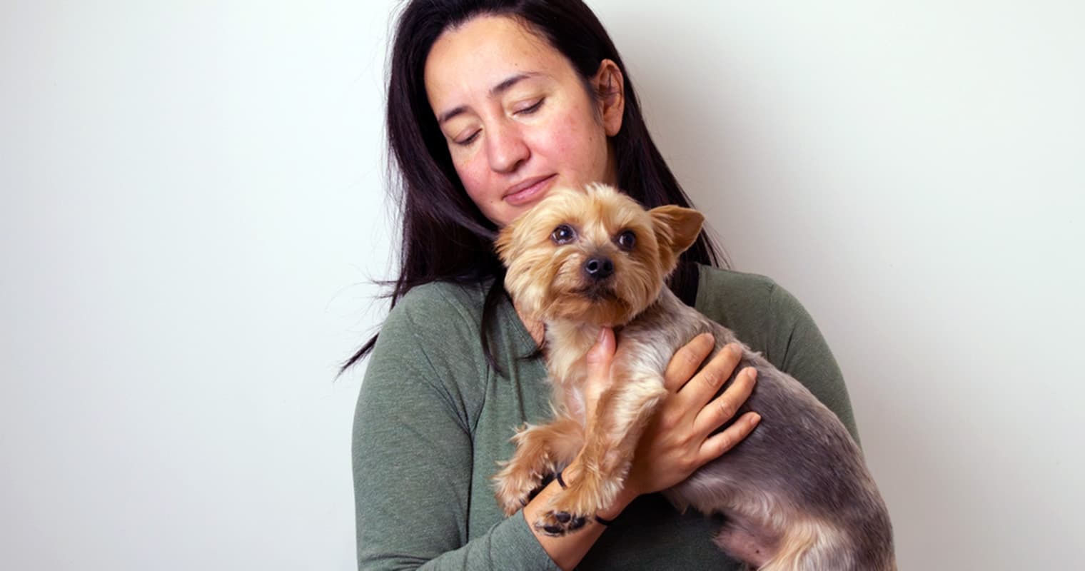What Does It Mean to Surrender a Yorkie?