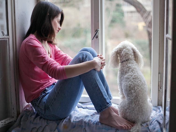 Is the Eclipse Safe for Cats and Dogs? How to Protect Your Pets on April 8