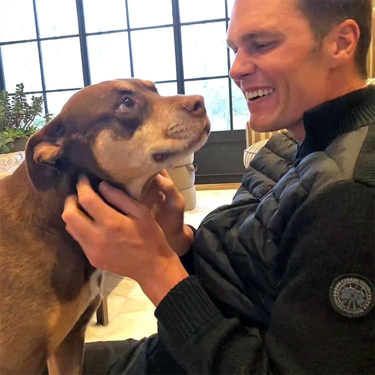 Tom Brady Reveals His Dog Junie Is the Clone of His Departed Pit Bull