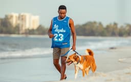 Your Dog Wants a Routine. Here’s How to Build One.