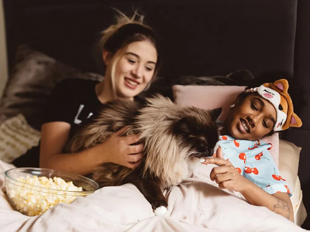 cat on bed with people