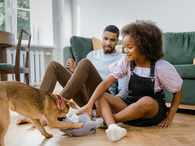 A Guide to Fostering Pets When You Have Kids
