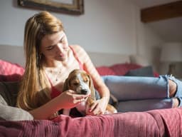 Why Does My Dog Chew on Blankets?