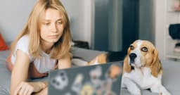 Vet Bill Assistance: Get Help with Vet Bills