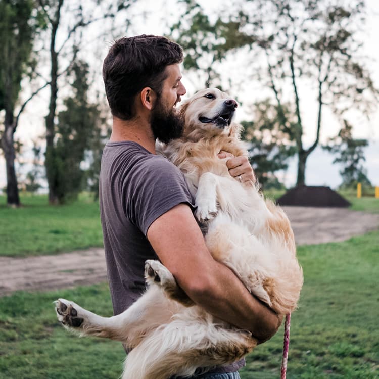 You Raise Your Dog the Way Your Parents Raised You, New Study Finds