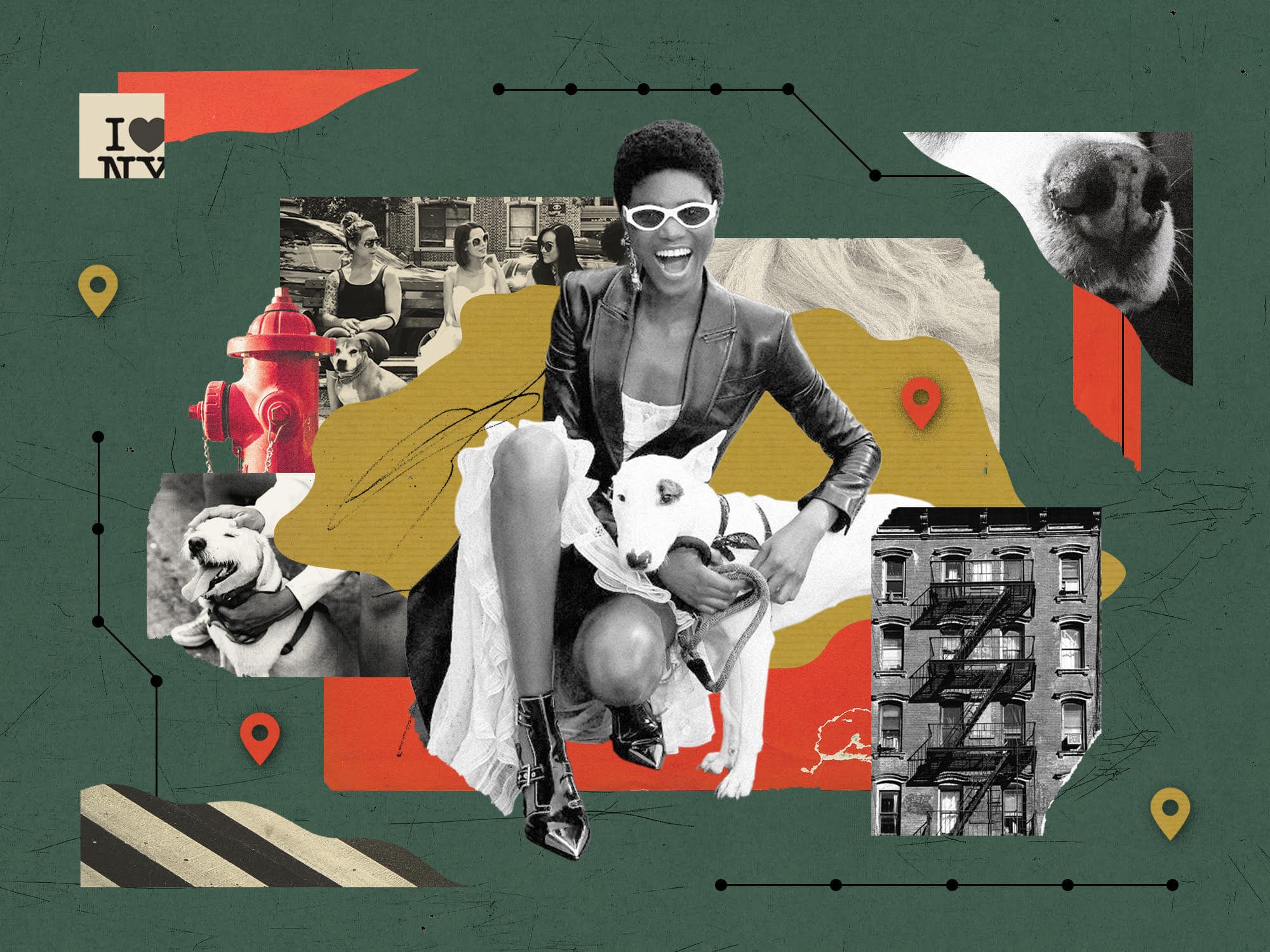 The Dog-Friendly New York City Guide for Your Favorite City Slicker