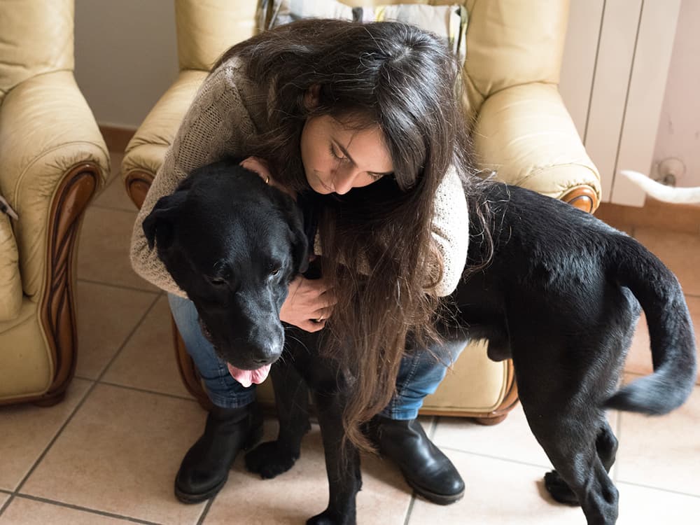 Everything to Know About Canine Mast Cell Tumors to Keep From Freaking Out