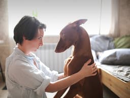“How Can I Tame a Sassy Pup?”