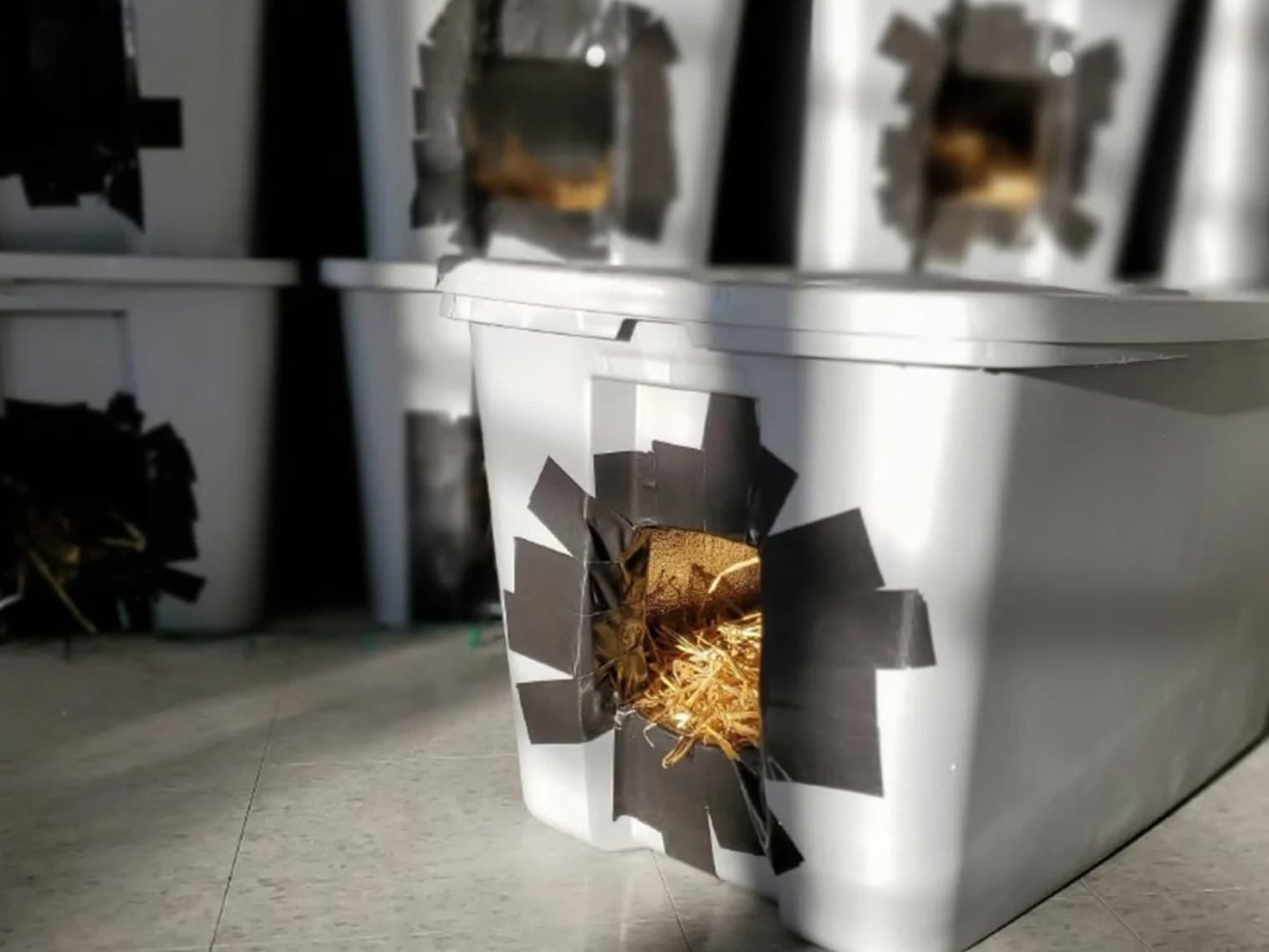 winter shelter for stray cats