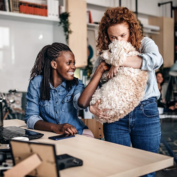 10 of the Coolest Dog-Friendly Co-Working Spaces in the U.S.