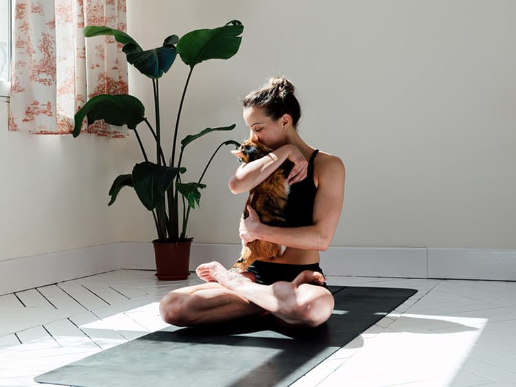 Shockingly, Your Pet Will Enhance Your Mindfulness Practice