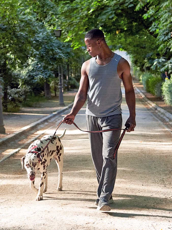 7 Dog-Walking Myths You Should Never Believe
