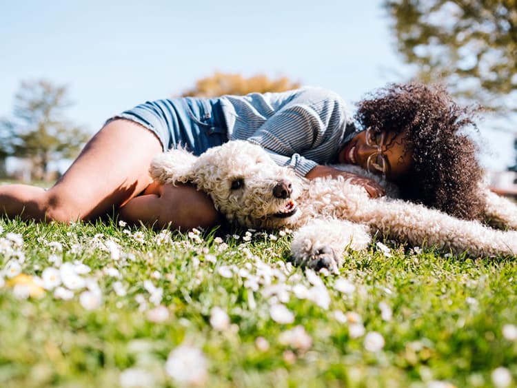 Here Are the Biggest Pet Trends For 2024