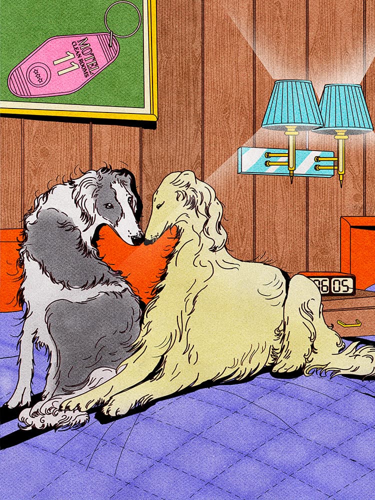Three’s a Crowd: When One Partner Doesn’t Want the Dog in the Bed