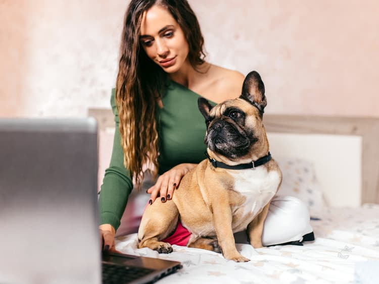 Is Gen Z Shopping for Dogs Instead of Adopting Because of Social Media?