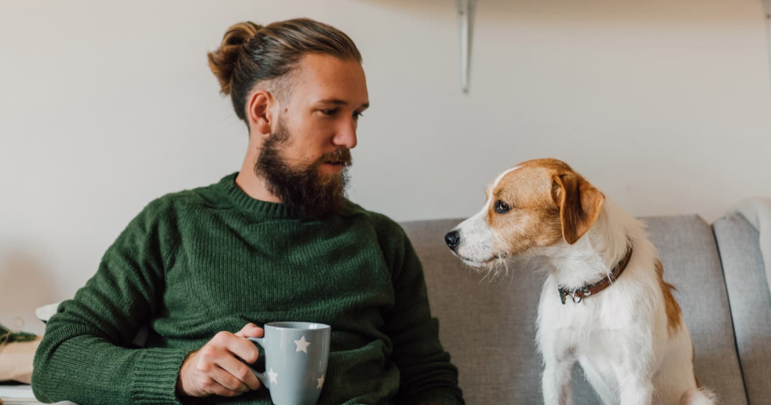 Why Is My Rescue Dog Acting Different Now That They’re Home?