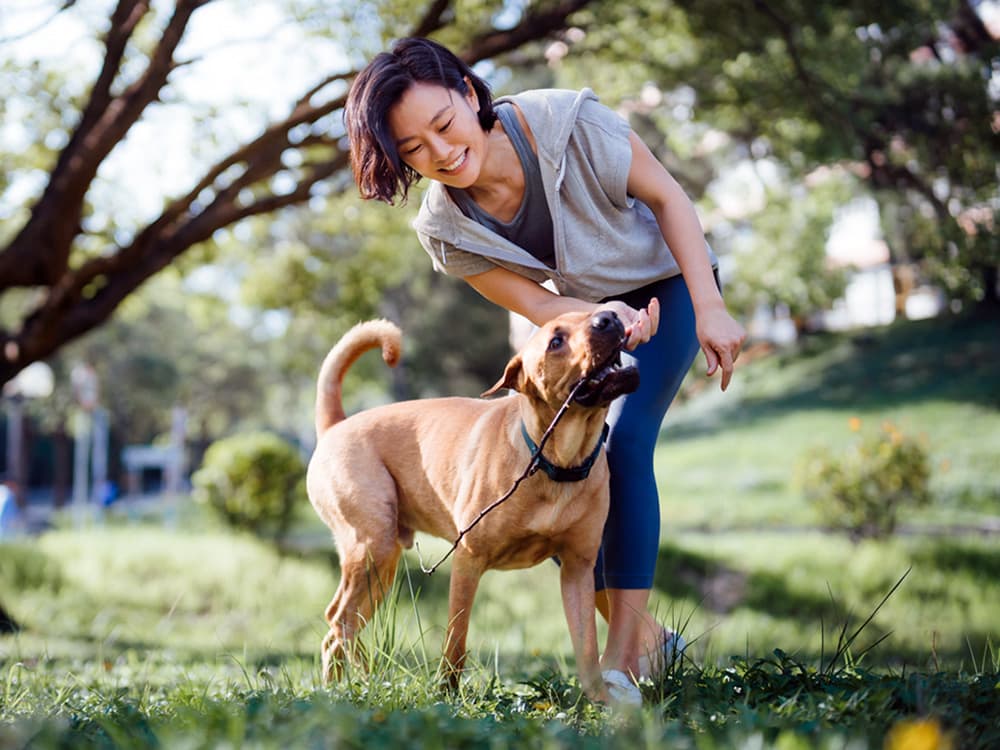 The 5 Best Pet-Safe Mosquito Sprays to Protect Your Pup This Summer
