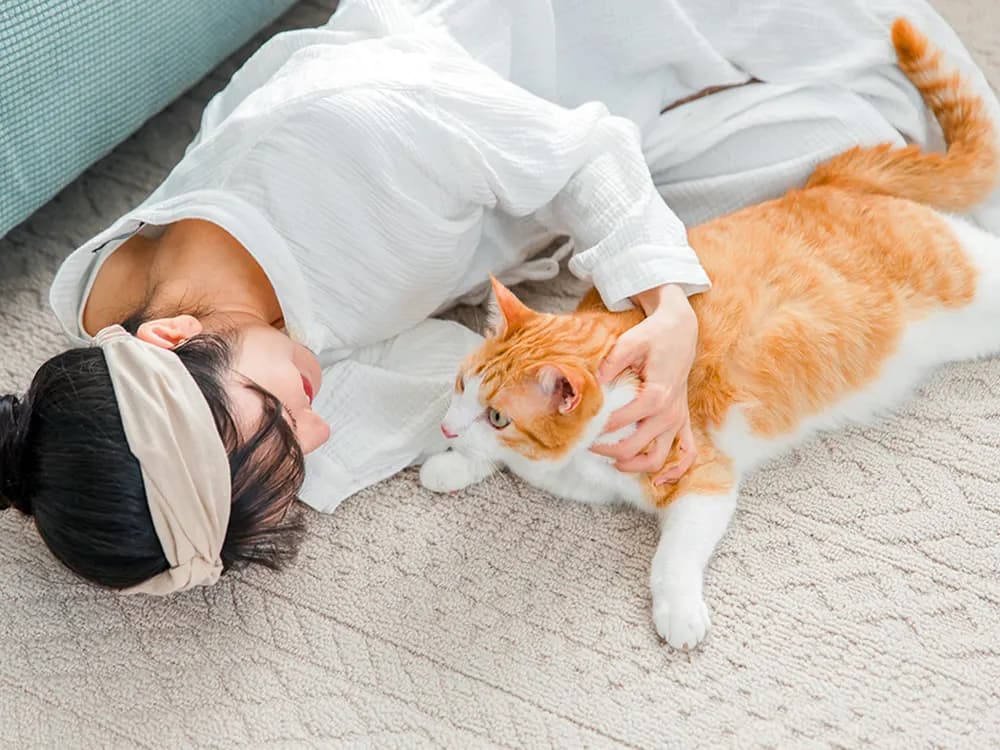 woman looking at a orange and white cat