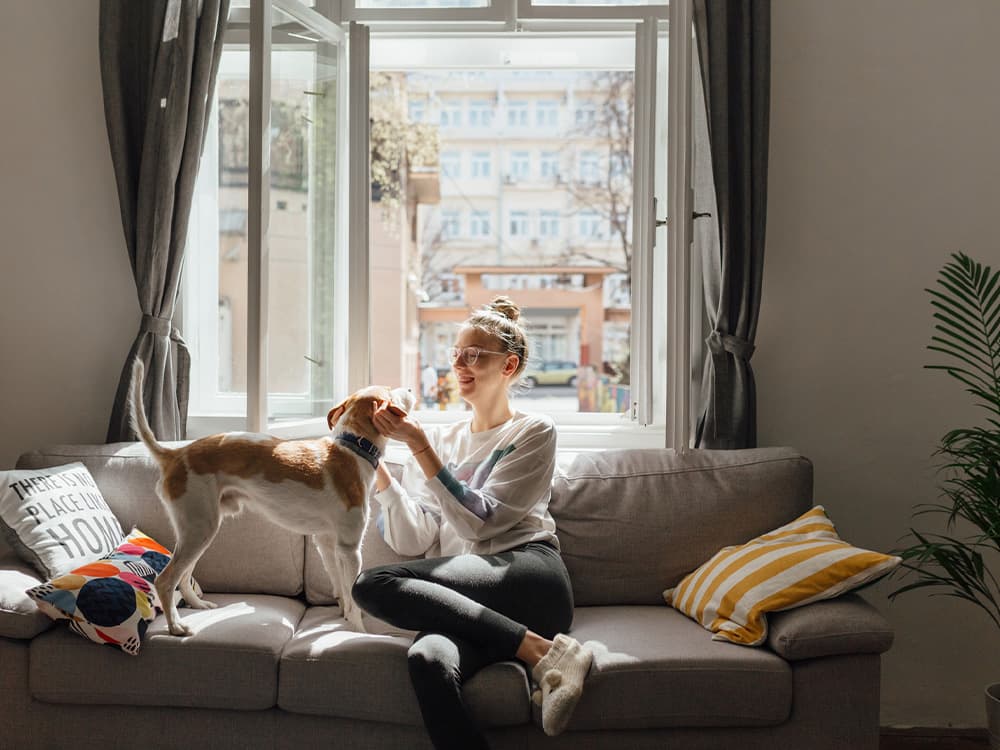 Are Shelter Pets Healthy?
