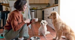 How to Give Your Dog a Healthy Diet on a Budget