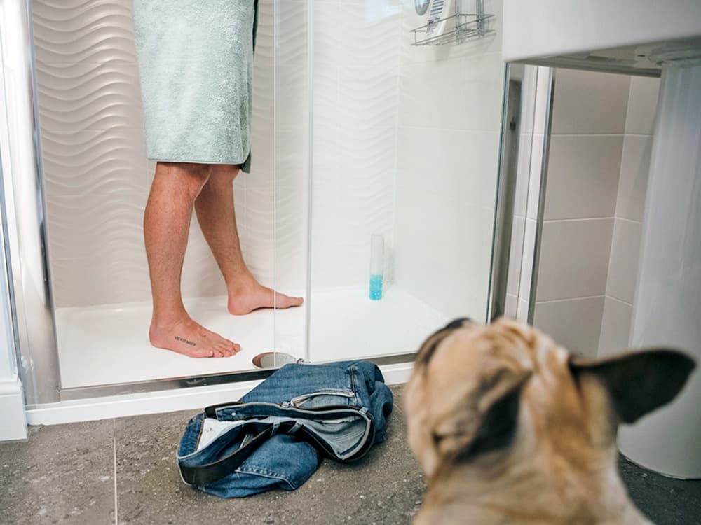 3 Reasons Your Dog Always Checks on You When You're Showering