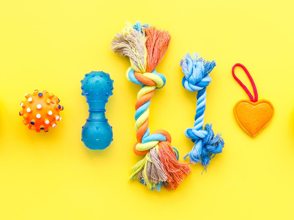 How to Marie Kondo Your Pet’s Toy Collection